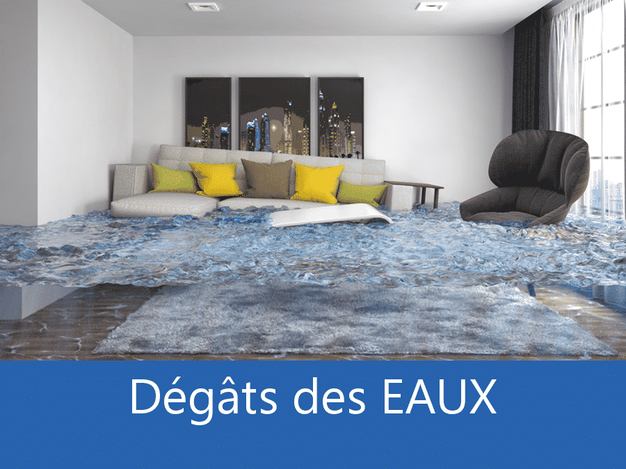 expertise humidité 89, expert humidité Auxerre, cause moisissure Sens, solutions humidité Yonne,