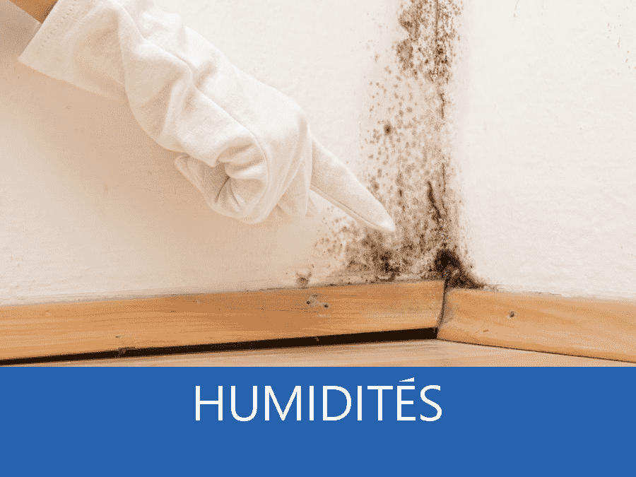 expertise humidité 89, expert humidité Auxerre, cause moisissure Sens, solutions humidité Yonne,